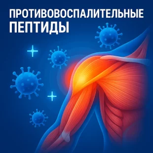 Противовоспалительные пептиды
